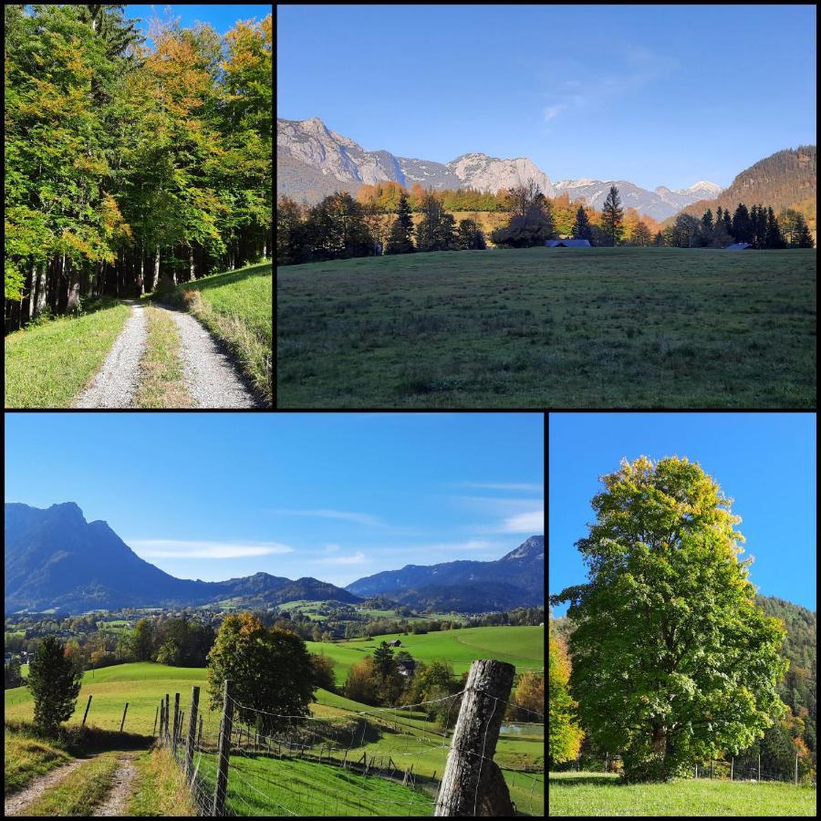 Appartamento Haus Lerchenreith Bad Aussee Esterno foto