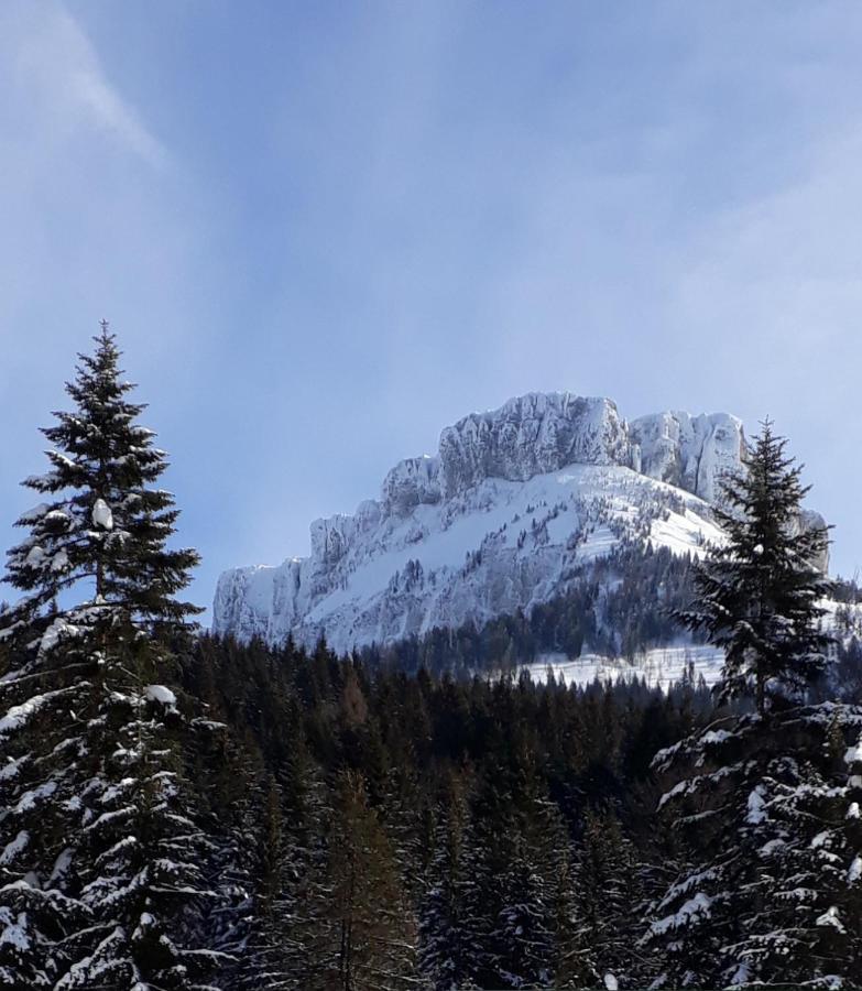 Appartamento Haus Lerchenreith Bad Aussee Esterno foto