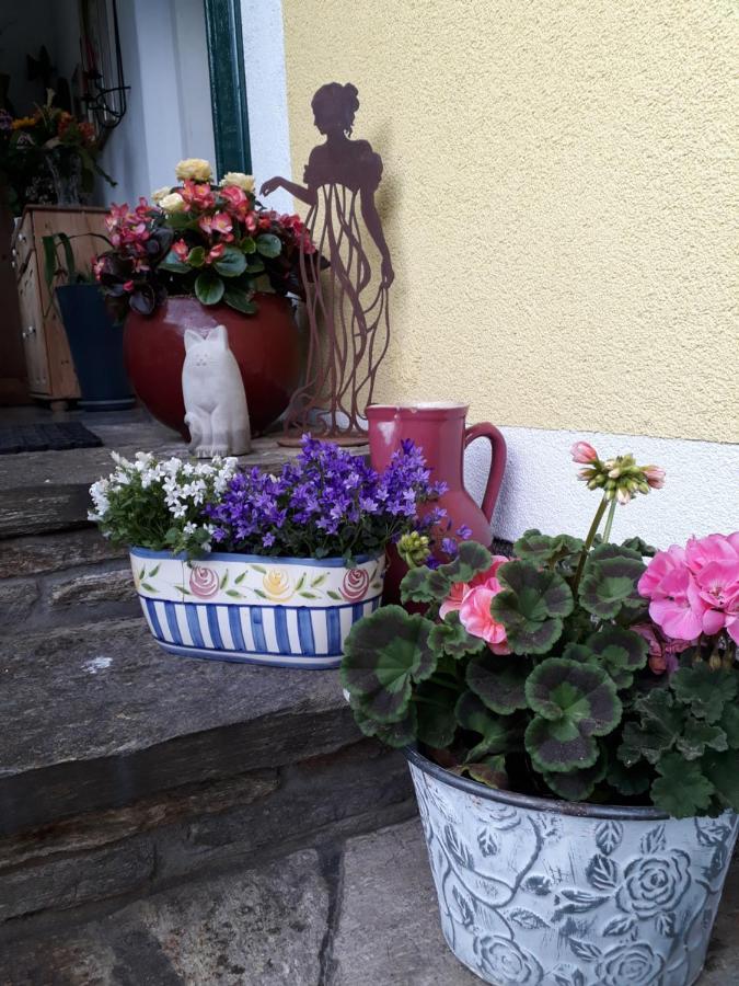 Appartamento Haus Lerchenreith Bad Aussee Esterno foto
