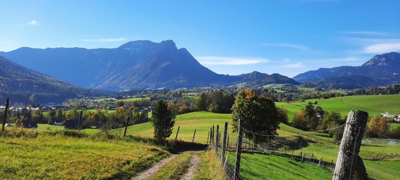 Appartamento Haus Lerchenreith Bad Aussee Esterno foto