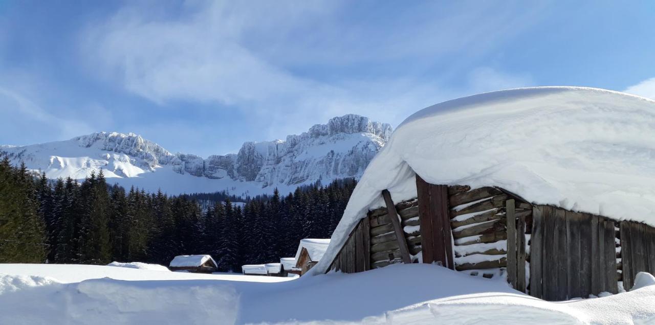 Appartamento Haus Lerchenreith Bad Aussee Esterno foto