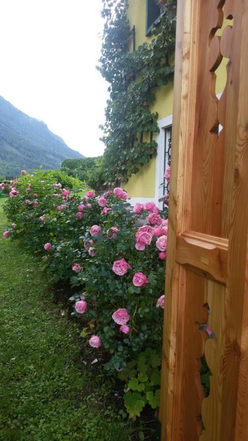 Appartamento Haus Lerchenreith Bad Aussee Esterno foto